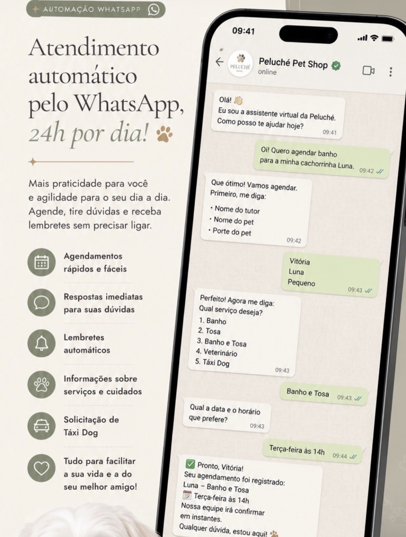 Automação WhatsApp – Peluché