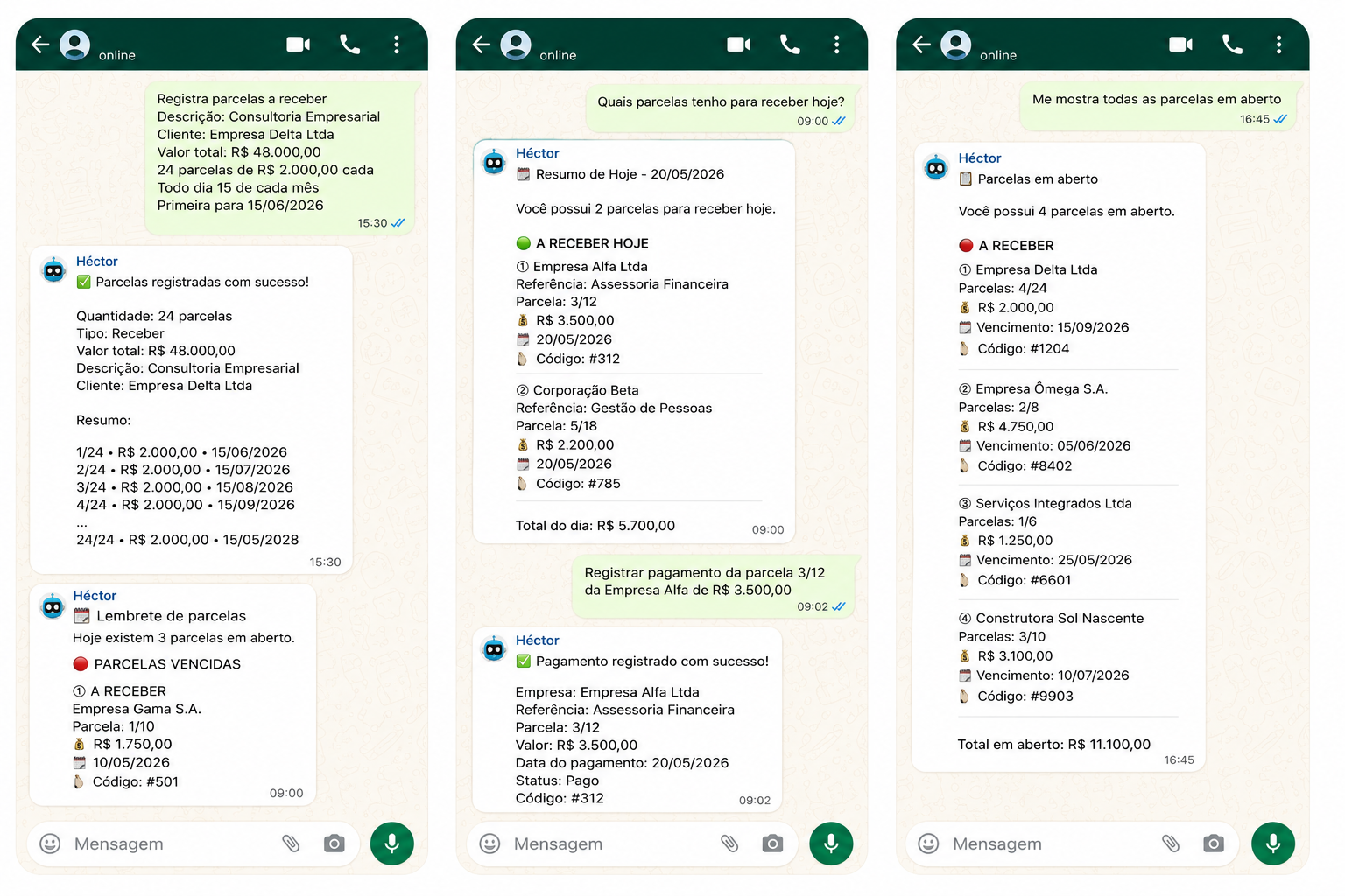 Hector Parcelas IA – Contas a Pagar e Receber