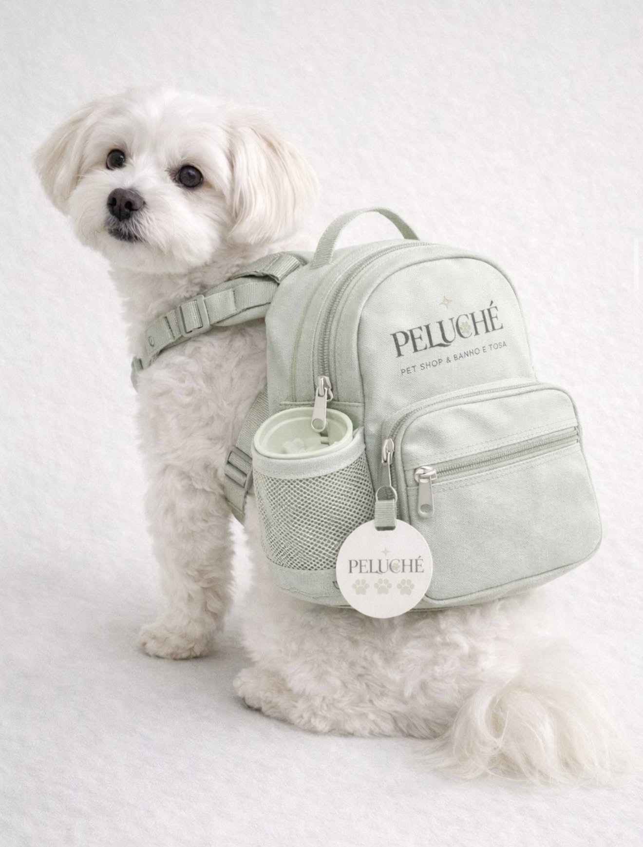 Peluche Pet Shop – Mockup